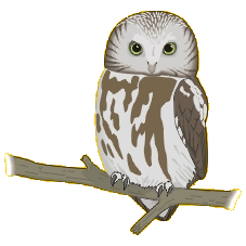 brown20owl20blink20big.gif