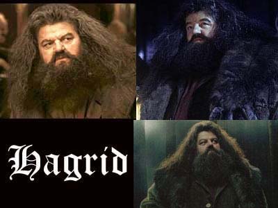 hagrid.jpg