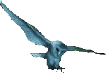 owl2.gif